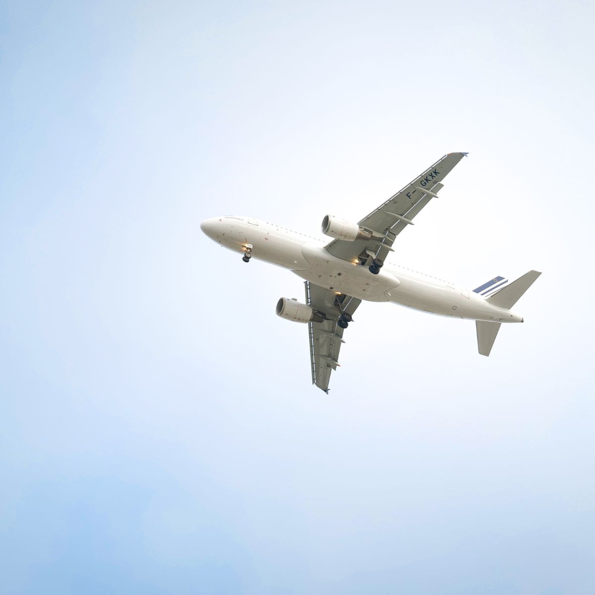 Talk to a Real Person on Southwest or JetBlue(1)