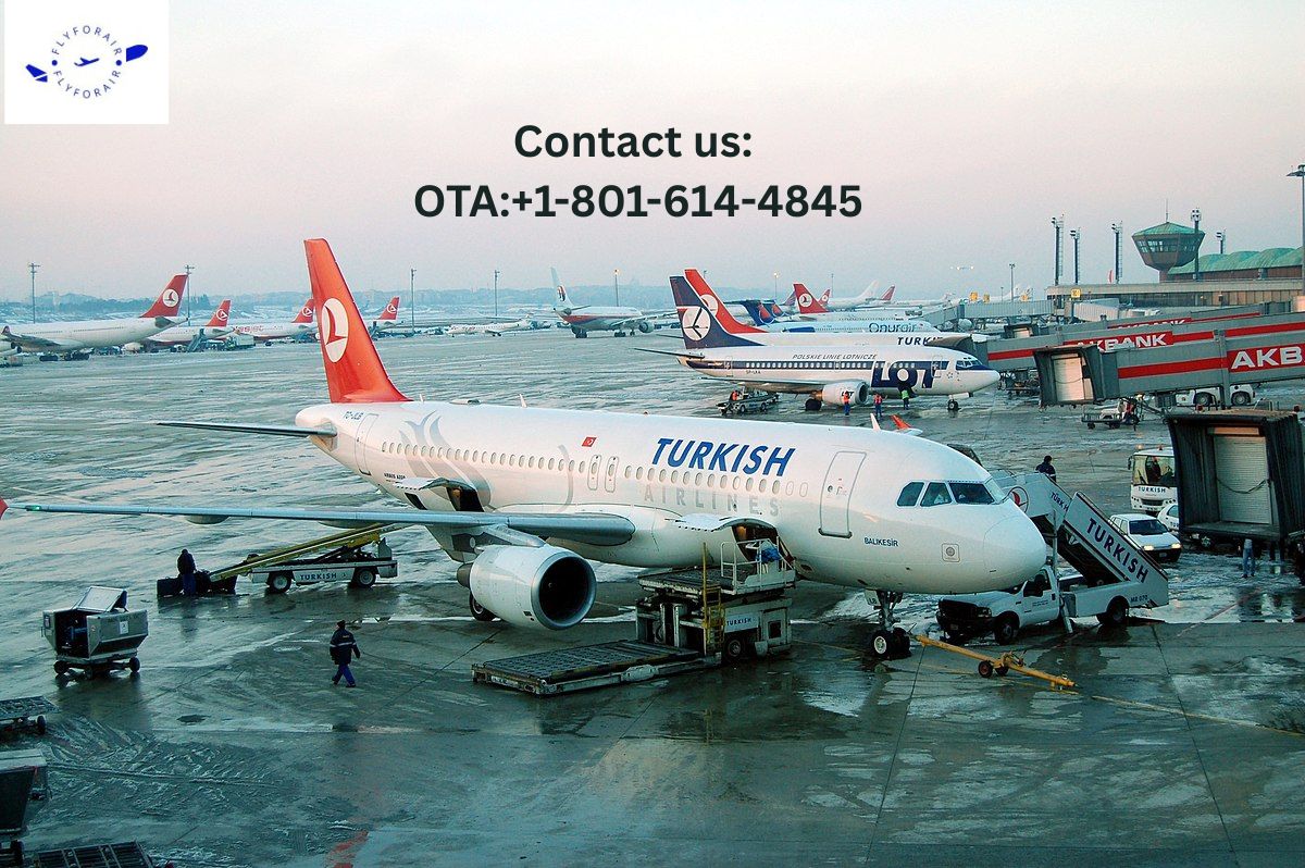 Turkish-airlines