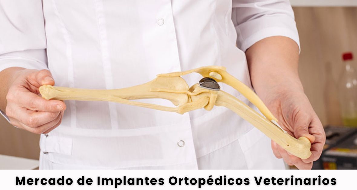 Veterinary Orthopedic (1)