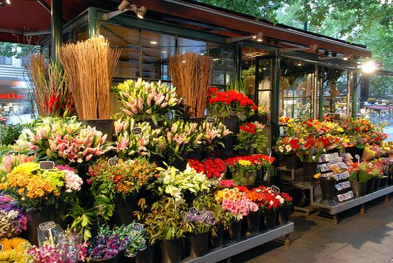 flowerb2