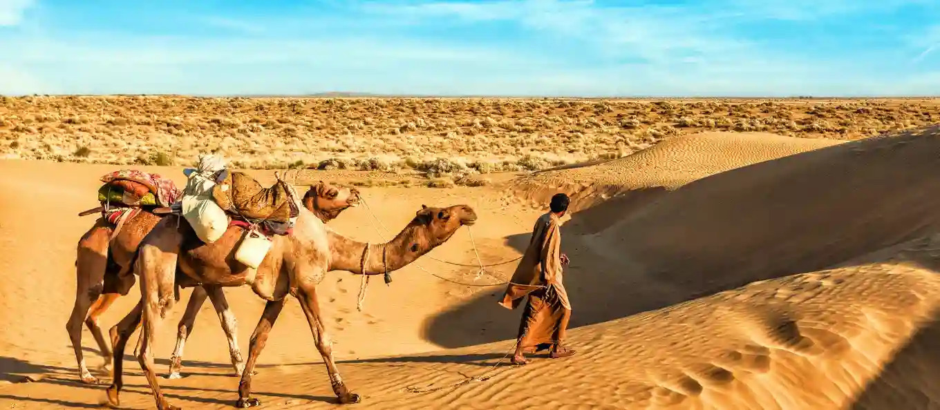 rajasthan (1)