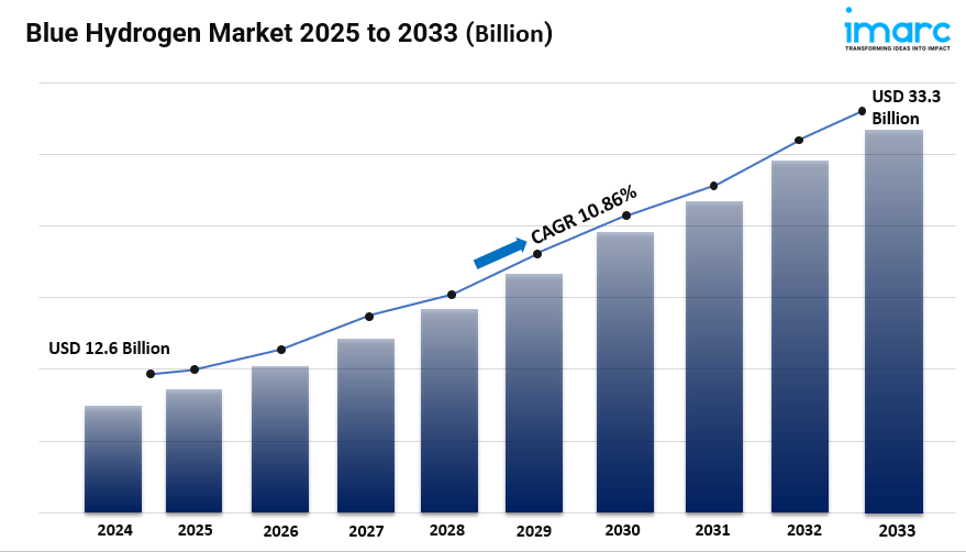 Blue Hydrogen Market