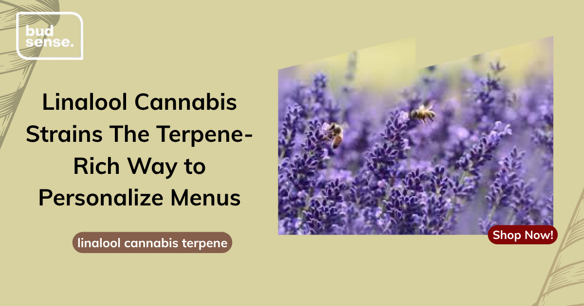 Linalool Cannabis Strains The Terpene-Rich Way to Personalize Menus