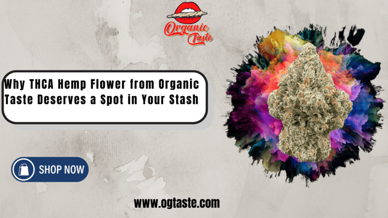 Why THCA Hemp Flower from Organic Taste Deserves a Spot in Your Stash (1)