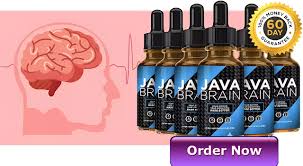 java brain rew