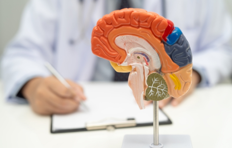 Brain Tumor Treatment Market