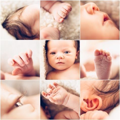 Donor Egg IVF Cost India