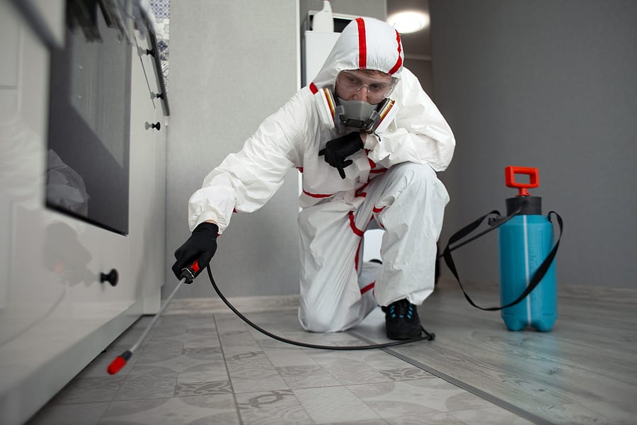 Pest-Control-Services
