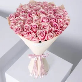 WhatsApp Image 2025-10-15 at 14.13.45_a90adf5b