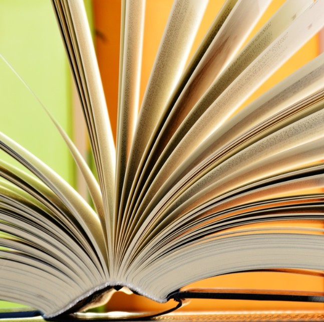 Why Businesses Prefer Spiral Bound Book Printing for Training Materials and Catalogs