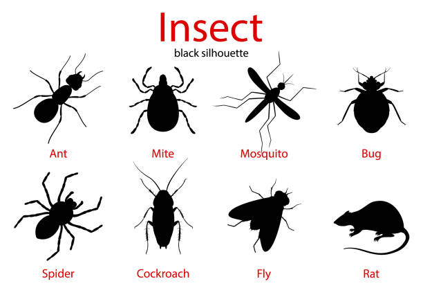 all one pests