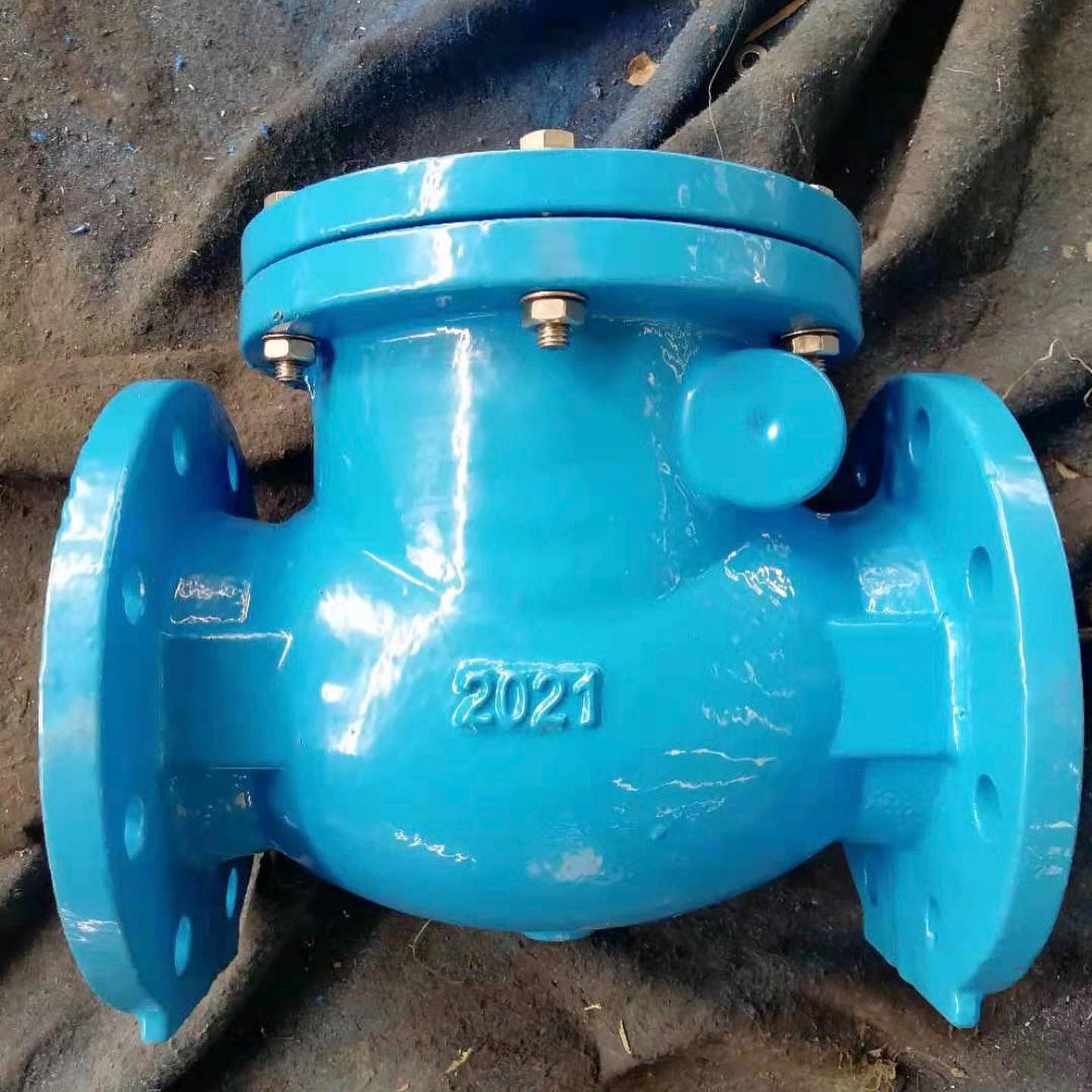 check valve  (2)