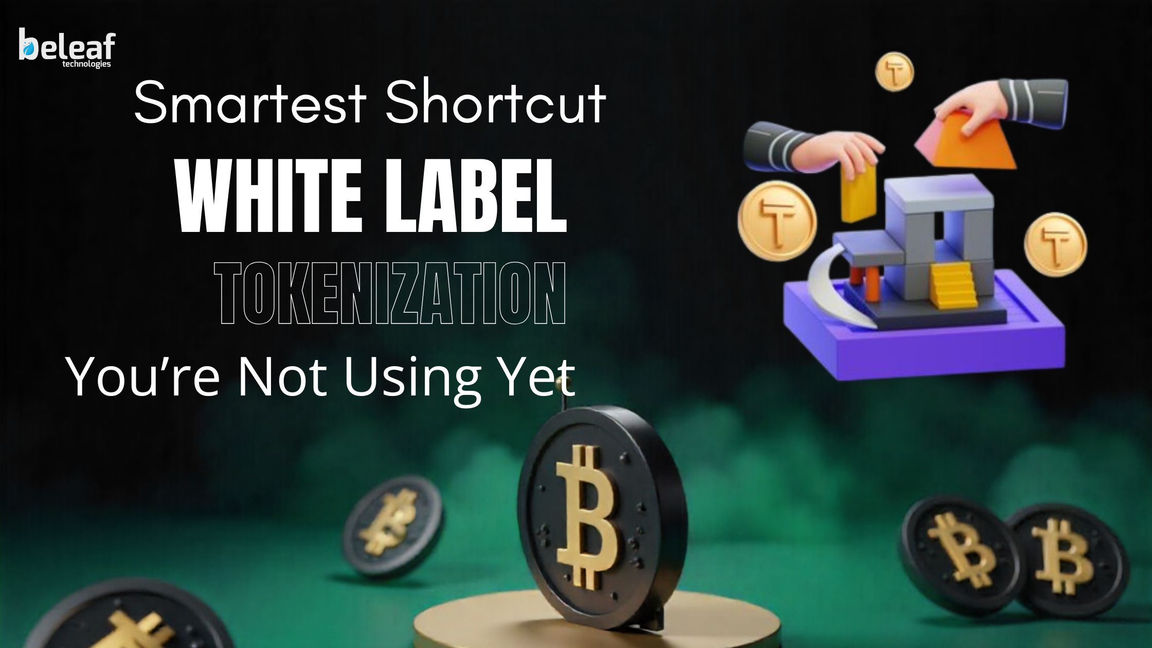 White label Tokenization Article logo 84