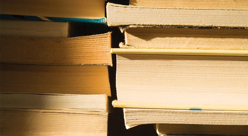 books-Stack-literature-pile-reading-entertainment-society-2010