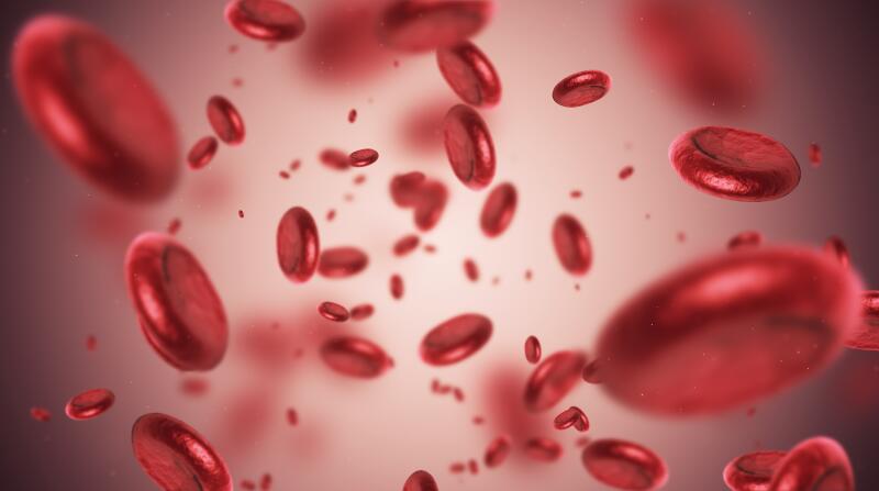 High cholesterolemia Dubai