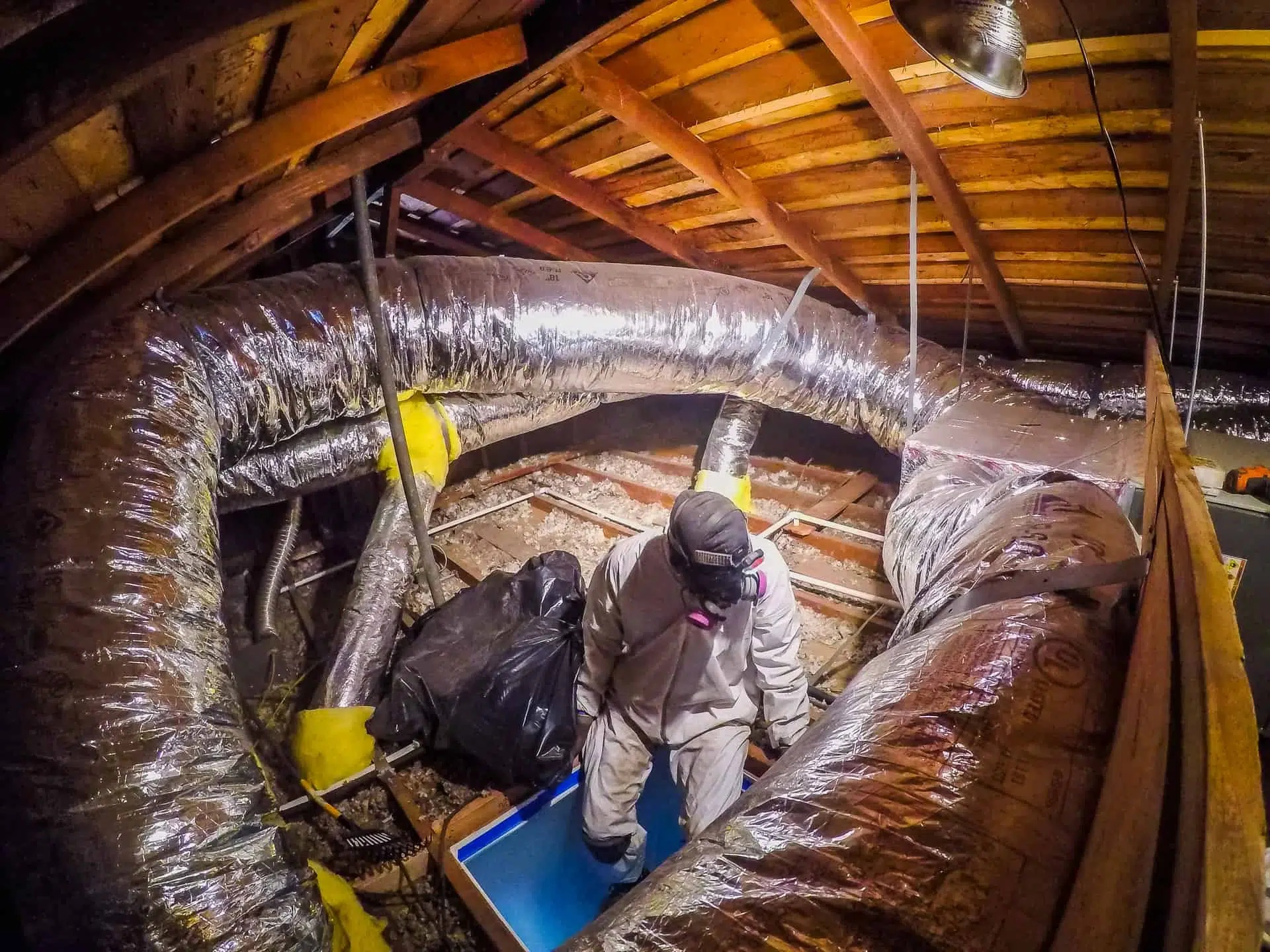 imgi_1_Attic-Insulation-Removal-Service-Tech-2
