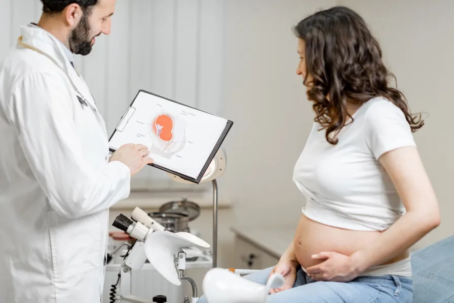 doctor-with-pregnant-woman-during-a-medical-consul-2025-03-14-14-52-44-utc