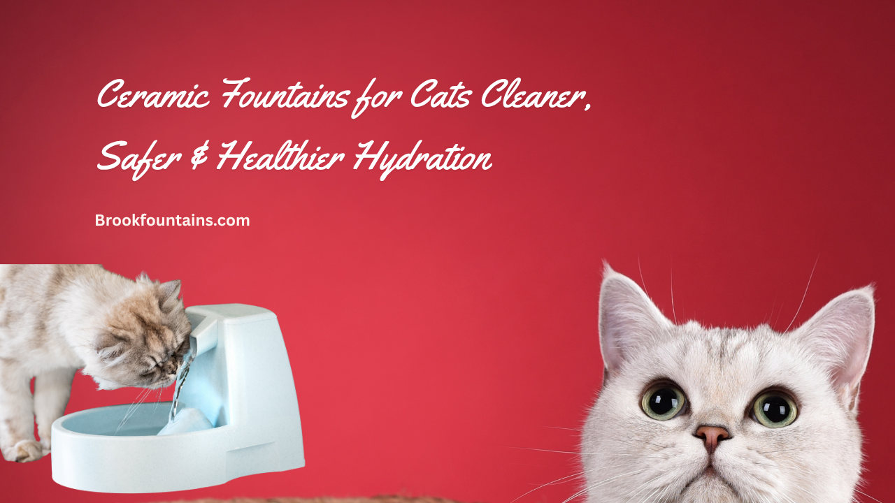 Ceramic Fountains for Cats