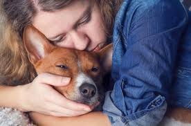 Signs a Dog is Dying